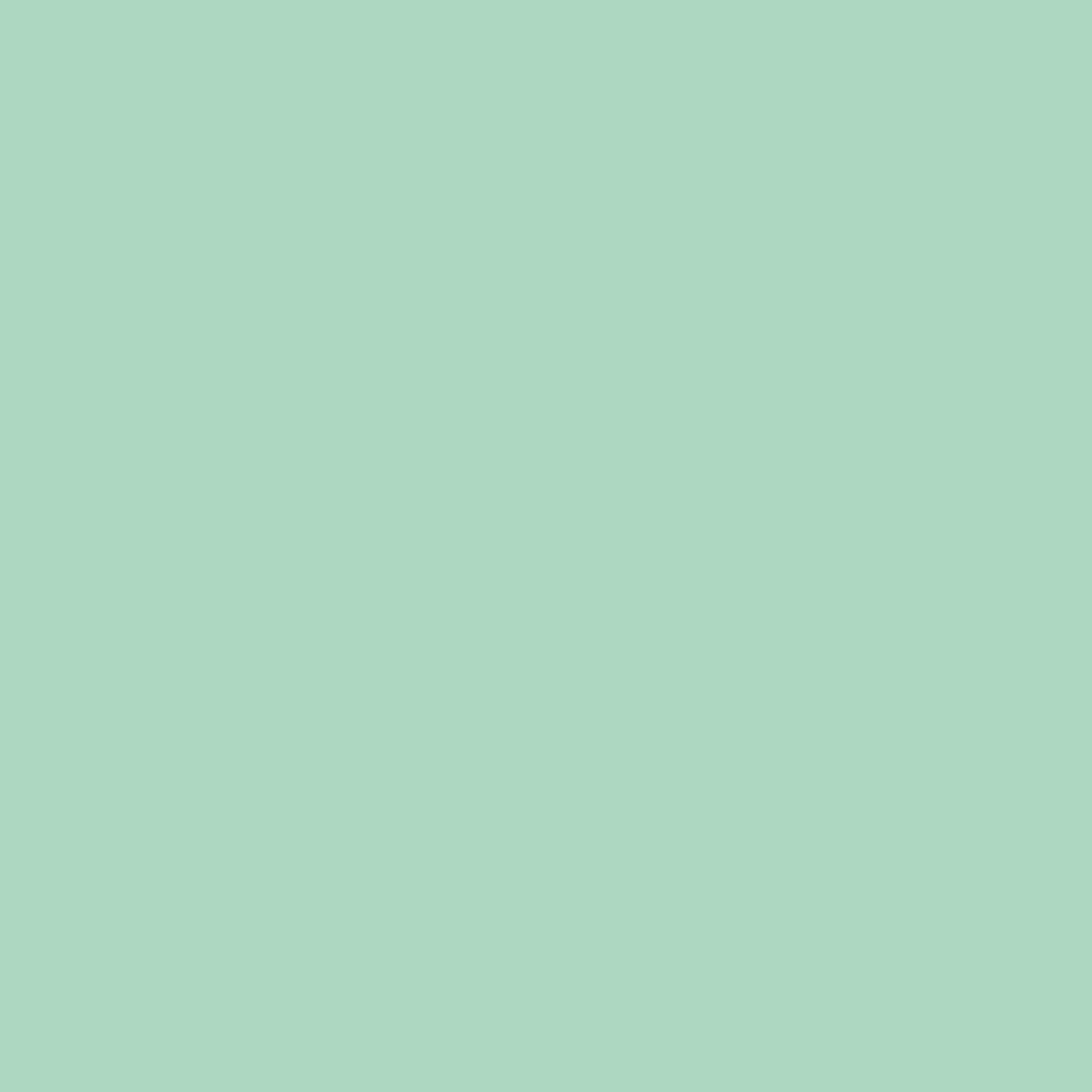 Montana Cans Acrylic Marker Ink Refills, 25ml Bottle, Malachite Light