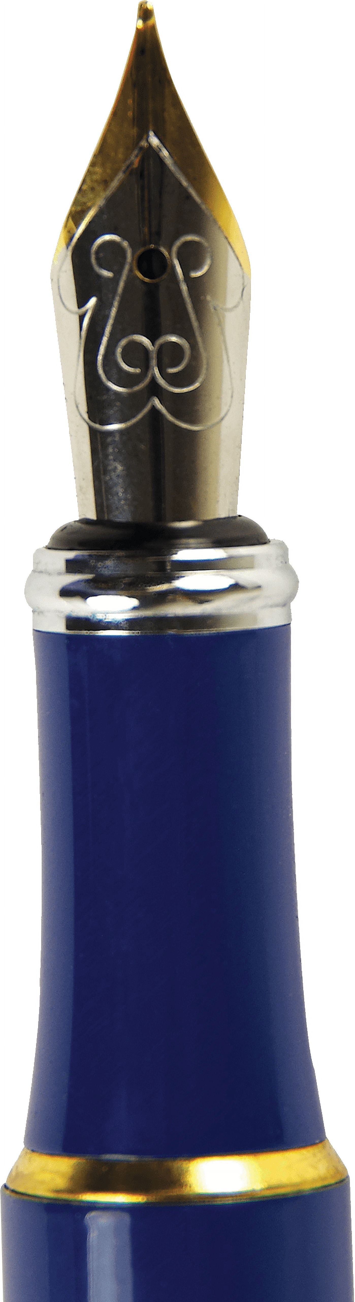 Falling Blossoms Fountain Pen (Other)