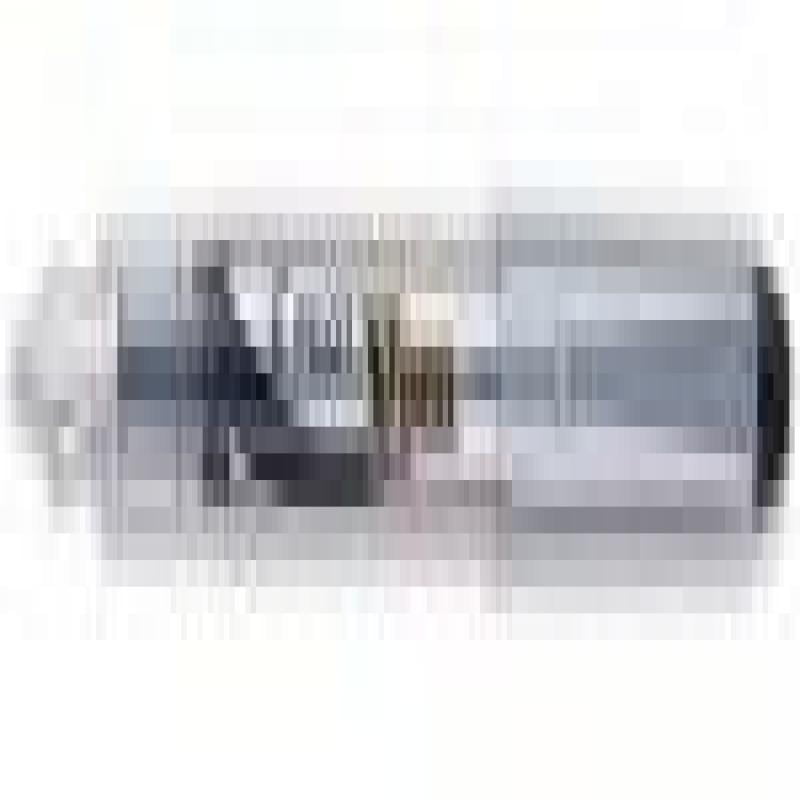 Pilot V4W Fountain Pen Silver Barrel Iridium Nib Black [Pack 12] 63310