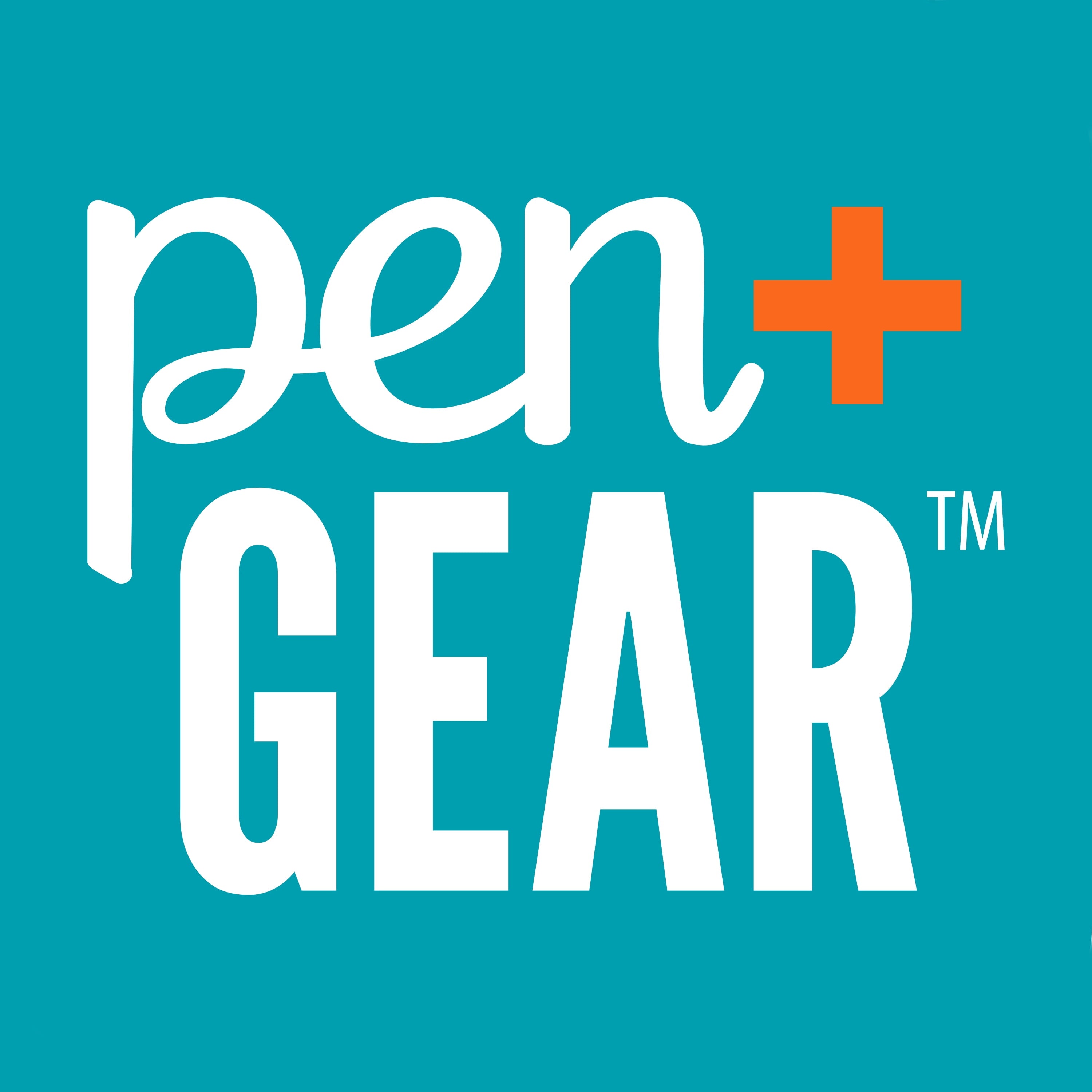 Pen+Gear Stick Ballpoint Pens, 1.0mm, Black Ink, 60 Count
