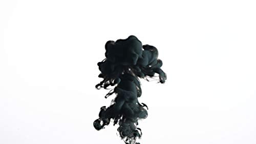Fountain Pen Ink Cartridges - Black - #185507