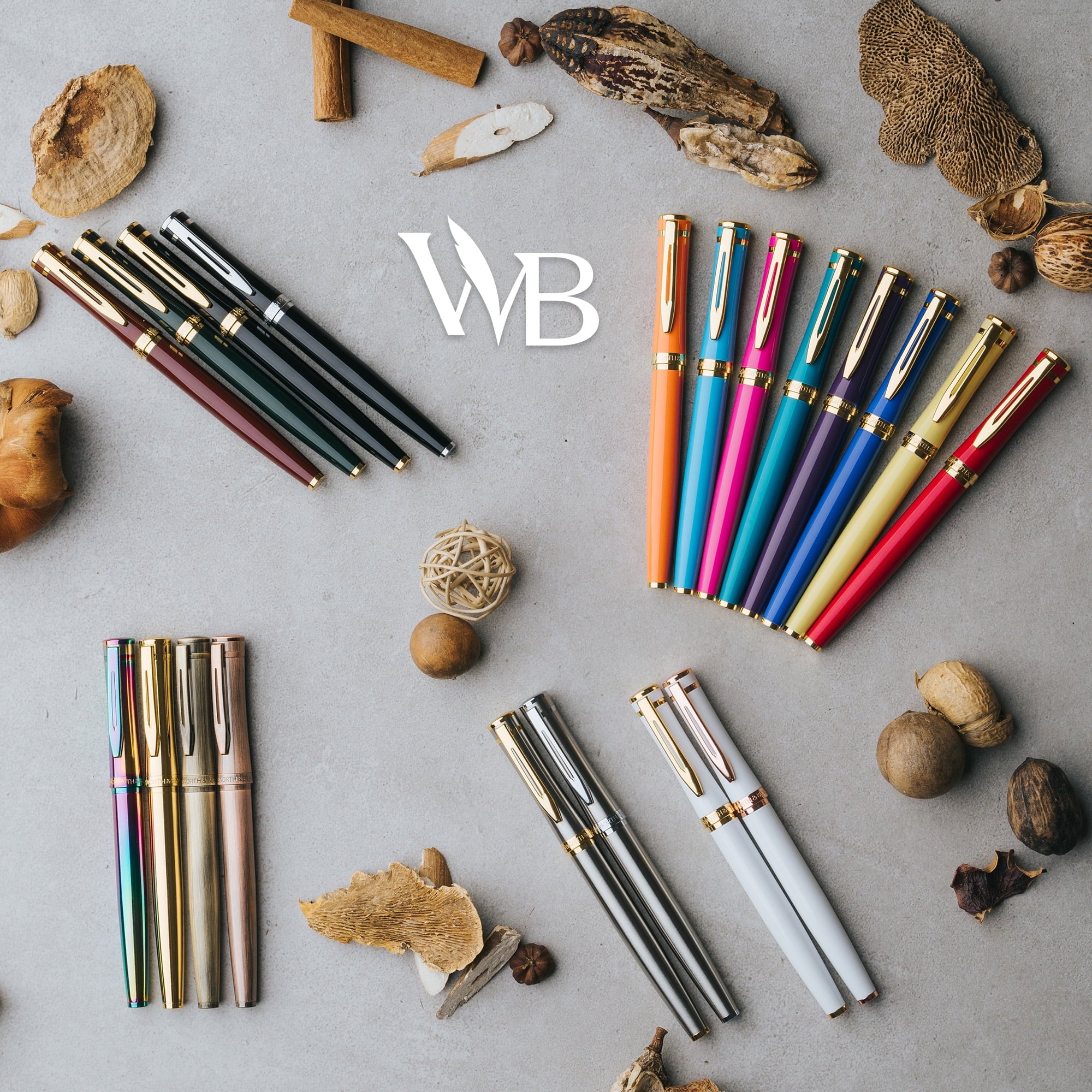 Wordsworth & Black Fountain Pen Set, 18K Gilded Fine Nib, Includes 24 Pack Ink Cartridges, Ink Refill Converter & Gift Box, Gold Finish, Calligraphy, [Silver Gold], Perfect for Men & Women